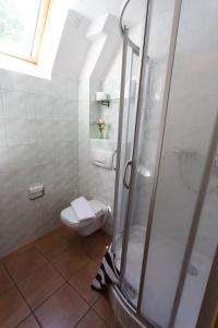 a bathroom with a toilet and a glass shower at Das Haus am See Schwerin in Schwerin