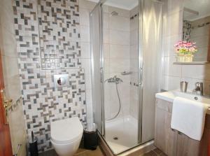 a bathroom with a shower and a toilet and a sink at Romanza Studios in Vasiliki