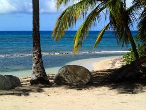 Gallery image of Ababor Suites Guesthouse in Vieques