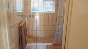 a bathroom with a shower with a toilet at Ras Vill in Glencairn +13 photos