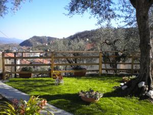 einen Hof mit einem Zaun und einem Baum in der Unterkunft la casetta del nonno in Arcola