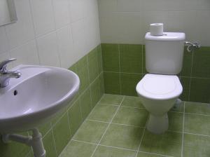 Koupelna v ubytování Penzion U Tomášů