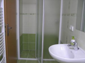 y baño con lavabo y ducha. en Penzion U Tomášů en Všechovice