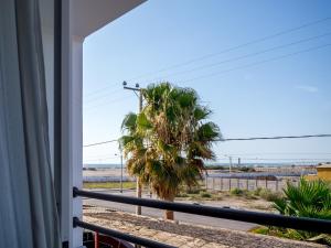 a palm tree on the beach viewed from a porch at Hotel & Spa Las Taguas in Arica