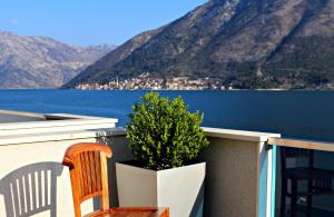 a chair and a potted plant on a balcony overlooking the water at Apartment MiraMare in Kotor