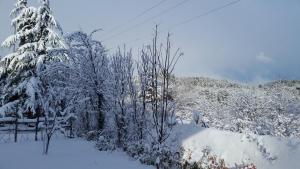 Le Ville di Villaggio Palumbo durante l'inverno