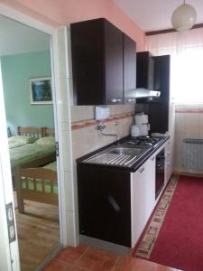 uma pequena cozinha com um fogão e um lavatório em Setnik Guesthouse em Valpovo