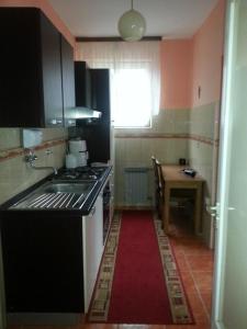 a kitchen with a stove and a sink and a table at Setnik Guesthouse in Valpovo +13 photos