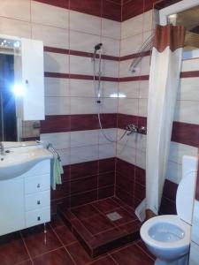 a bathroom with a shower and a toilet and a sink at Setnik Guesthouse in Valpovo