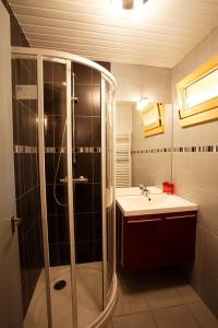 a bathroom with a shower and a sink at Le Petit Chalet in Morzine