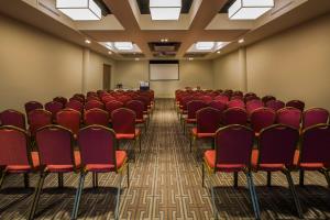 Majoituspaikan The Killeshin Hotel Portlaoise työ- tai konferenssitilat