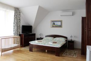 a bedroom with a bed and a tv in a room at Villa Gracia in Balatongyörök