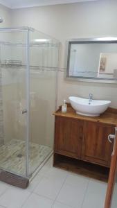 a bathroom with a sink and a glass shower at Welbedacht Estate Self catering Accommodation in Port Elizabeth