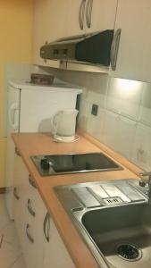Kuchyň nebo kuchyňský kout v ubytování Apartment Maras