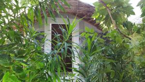 Giardino di Maafushi View