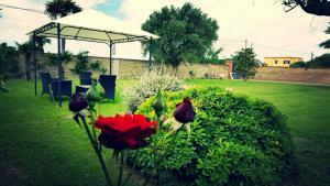 Zahrada ubytování Elegance B&B