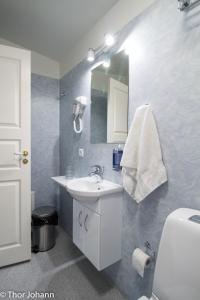 Kamar mandi di Hotel Hjardarbol