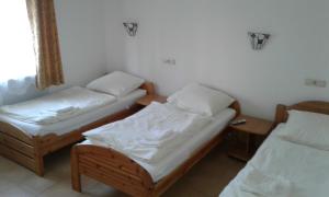 Cama o camas de una habitación en Wanderlust Hostel