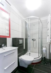 La salle de bains est pourvue d'une douche, de toilettes et d'un lavabo. dans l'établissement Pokoje Beskid Brenna, à Brenna
