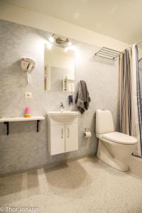 Bany a Hotel Hjardarbol