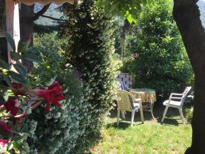 - un jardin avec deux chaises et un bush dans l'établissement Iseo Lake Home Nature & Relax, à Iseo