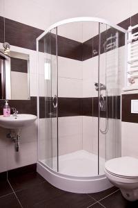 een badkamer met douche, toilet en wastafel bij Szekla in Stronie Śląskie +50 foto's