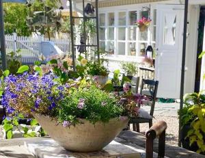 a large pot of flowers sitting on a table at Hotell Viking in Uddevalla