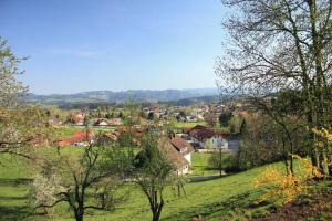 a small town in a green field with trees at Ferien auf dem Steingrubenhof in Sankt Peter