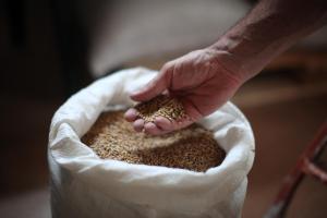 a person holding a bag of seeds at Settecentoalberi Agriturismo in Noventa di Piave