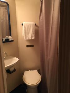 a bathroom with a toilet and a sink at Hotel de la gare in Château-du-Loir