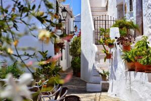 a narrow alley with potted plants on a white building at Casa Rural Miller's of Frigiliana in Frigiliana