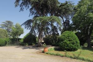 Zahrada ubytování Le Domaine de Fraissinet