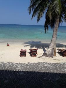 una playa con sillas, una palmera y el océano en Senja Bay Resort, en Islas Perhentian