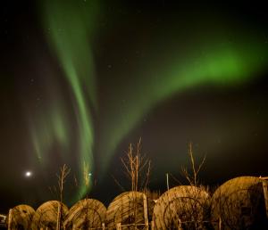 Fotografie z fotogalerie ubytování Guesthouse 1x6 v Keflavíku