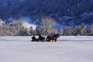 Landhaus Marie en invierno