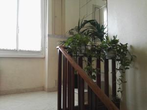 Fotografie z fotogalerie ubytování Hotel Loreto v Miláně