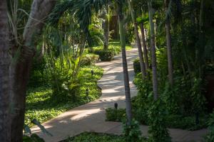 Occidental Tamarindo - All Inclusive室外花園