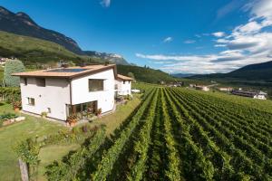 une maison au milieu d'un vignoble dans l'établissement Weingut Morandell, à Caldaro