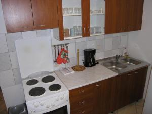 Kuchyň nebo kuchyňský kout v ubytování Apartments Murgic