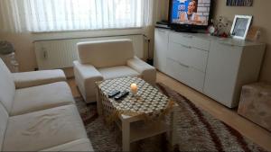 ein Wohnzimmer mit einem Sofa, einem Tisch und einem TV in der Unterkunft ProFair Apartments - room agency in Hannover