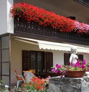 Zahrada ubytování Pension Tannenhof