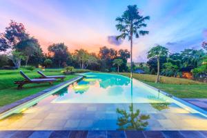a swimming pool with a bench and a palm tree at Omah Sabin Villa East in Canggu