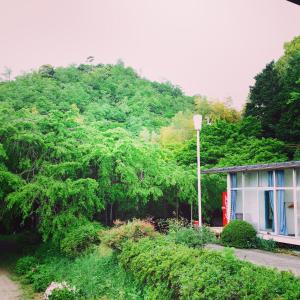 Zahrada ubytování Amanohashidate Youth Hostel