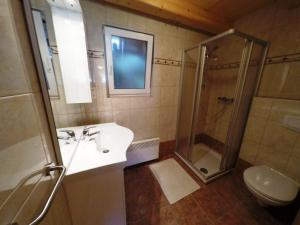 ein Bad mit einer Dusche, einem Waschbecken und einem WC in der Unterkunft Ferienhaus Blasge in Bodensdorf