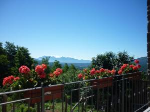 Nespecifikovaný výhled na hory nebo výhled na hory při pohledu z bed and breakfast