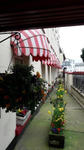 Zahrada ubytování Mornington Hotel