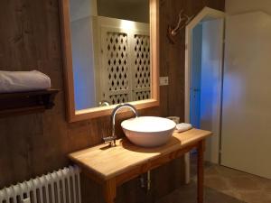 a bathroom with a sink and a mirror at Apartment Almröserl Edelweiss in Gosau +17 photos
