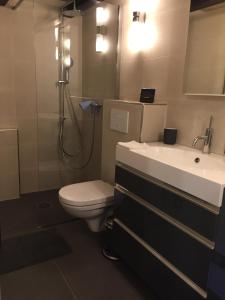 a bathroom with a toilet and a sink and a shower at La Galisesagnoise in Briançonnet +59 photos