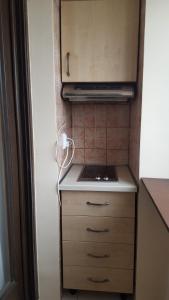a small kitchen with a stove and a cabinet at Hospitality Centrum- River in Bucharest