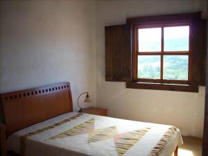 Schlafzimmer mit einem Bett und einem Fenster in der Unterkunft Homestay Tiradentes Alto da Torre in Tiradentes